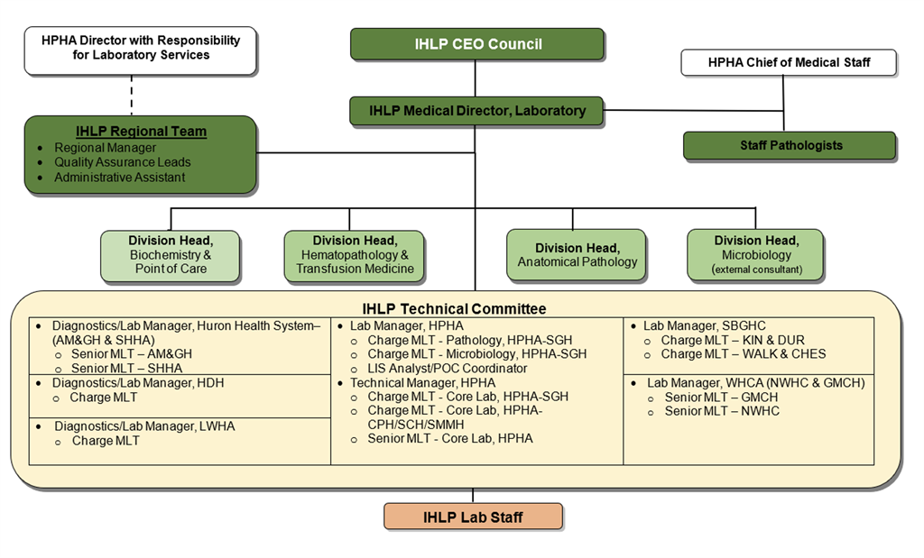 Flow chart showing the structure of staff